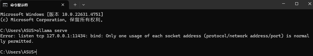 image-20250211185257476